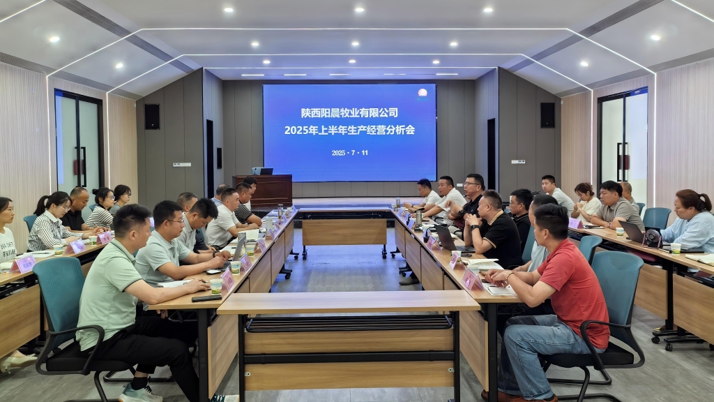 陽晨牧業(yè)召開2025年度上半年總結分析會